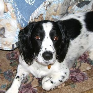 Meet your Posher, Pamela